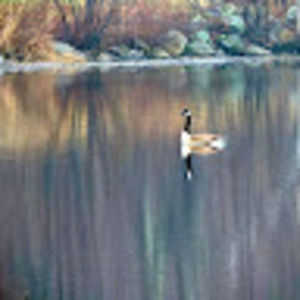 Meet your Posher, Jenny